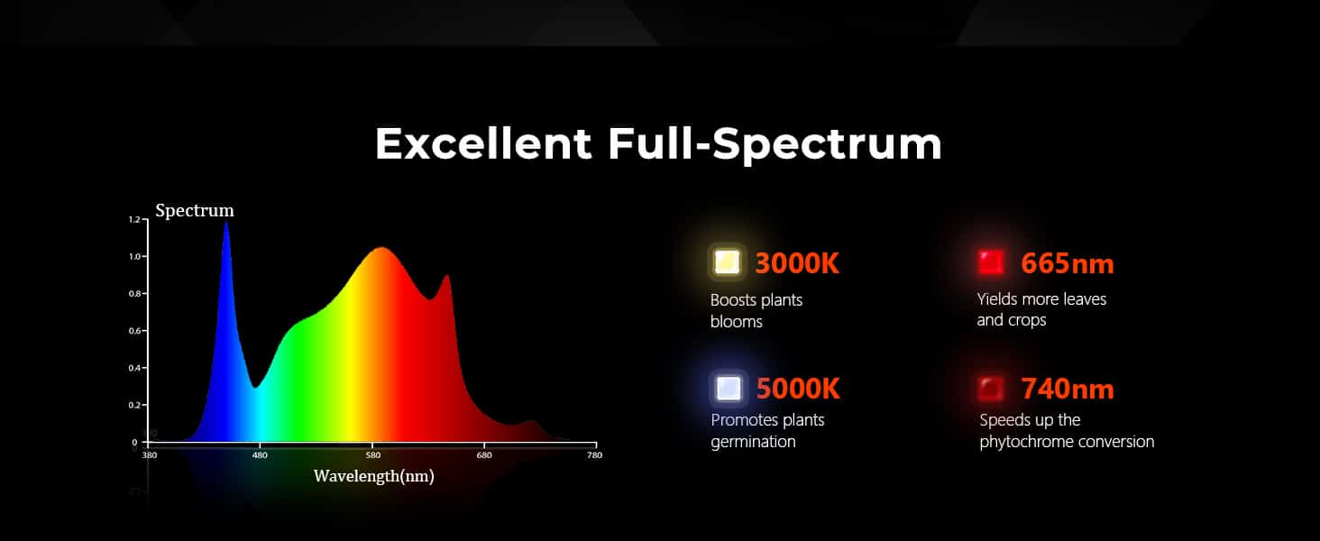 SF4000-Spectrum ratio with IR