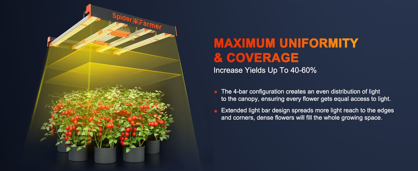 Uniform coverage-SE3000 300W LED
