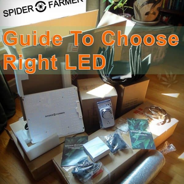 Spider-Farmer-LED