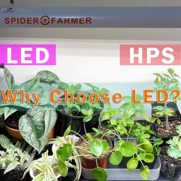 HPS--VS-LED-1