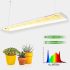 Spider Farmer SF600 LED for Veg Flower
