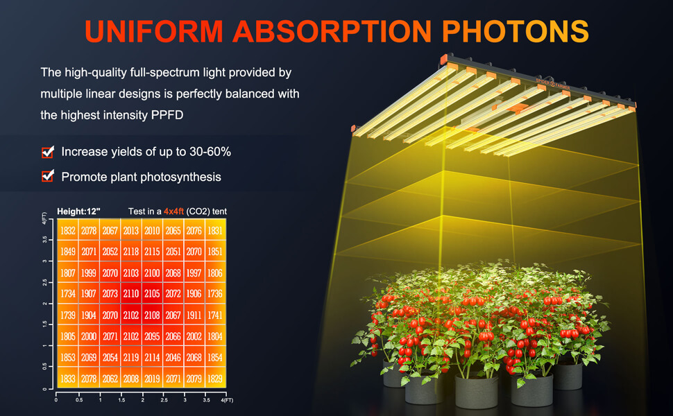 PPFD of SE1000W Led Grow Light