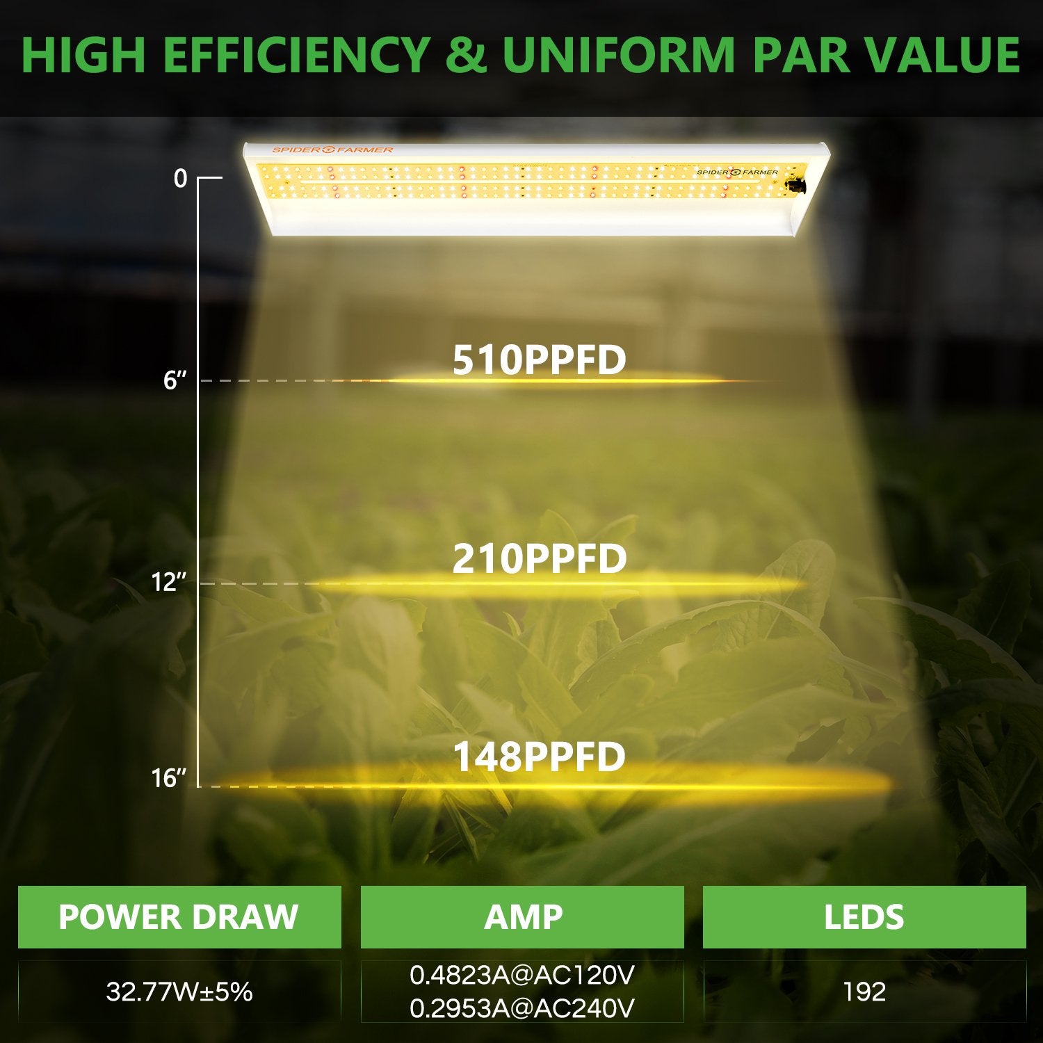 PPFD MAP of SF300 33W led