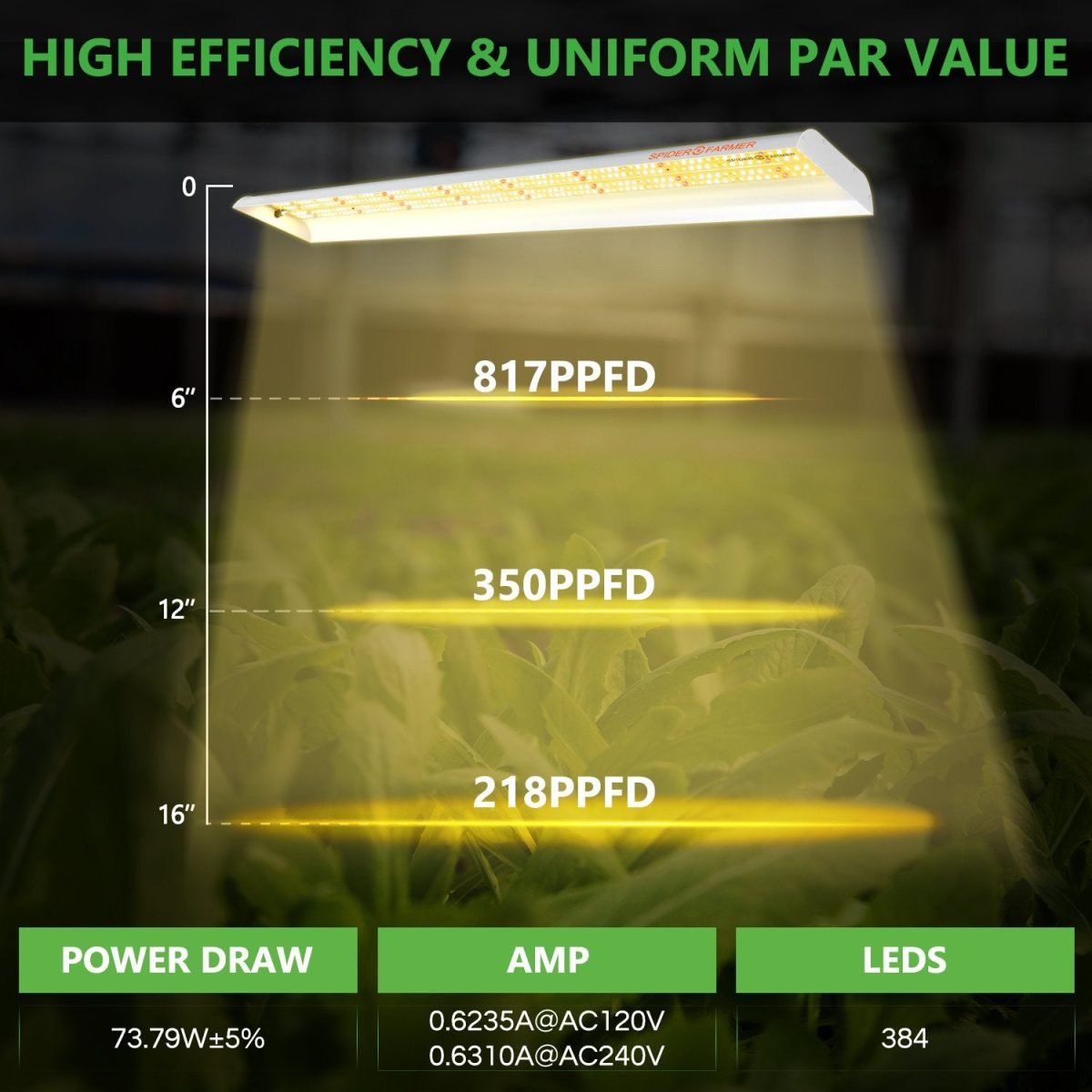 PPFD & Coverage of SF600 led