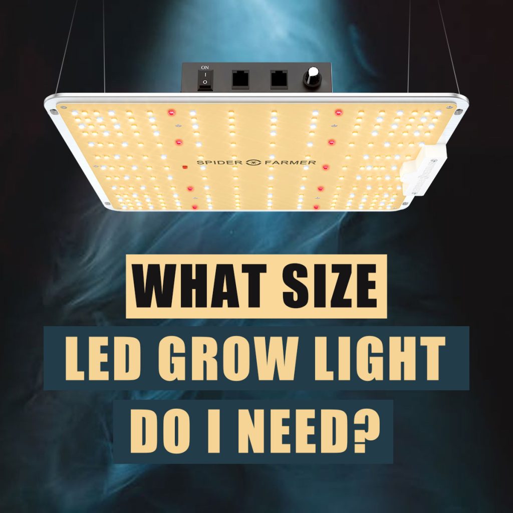What Size led grow light do i need?