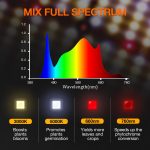 Full spectrum of SF4000 led