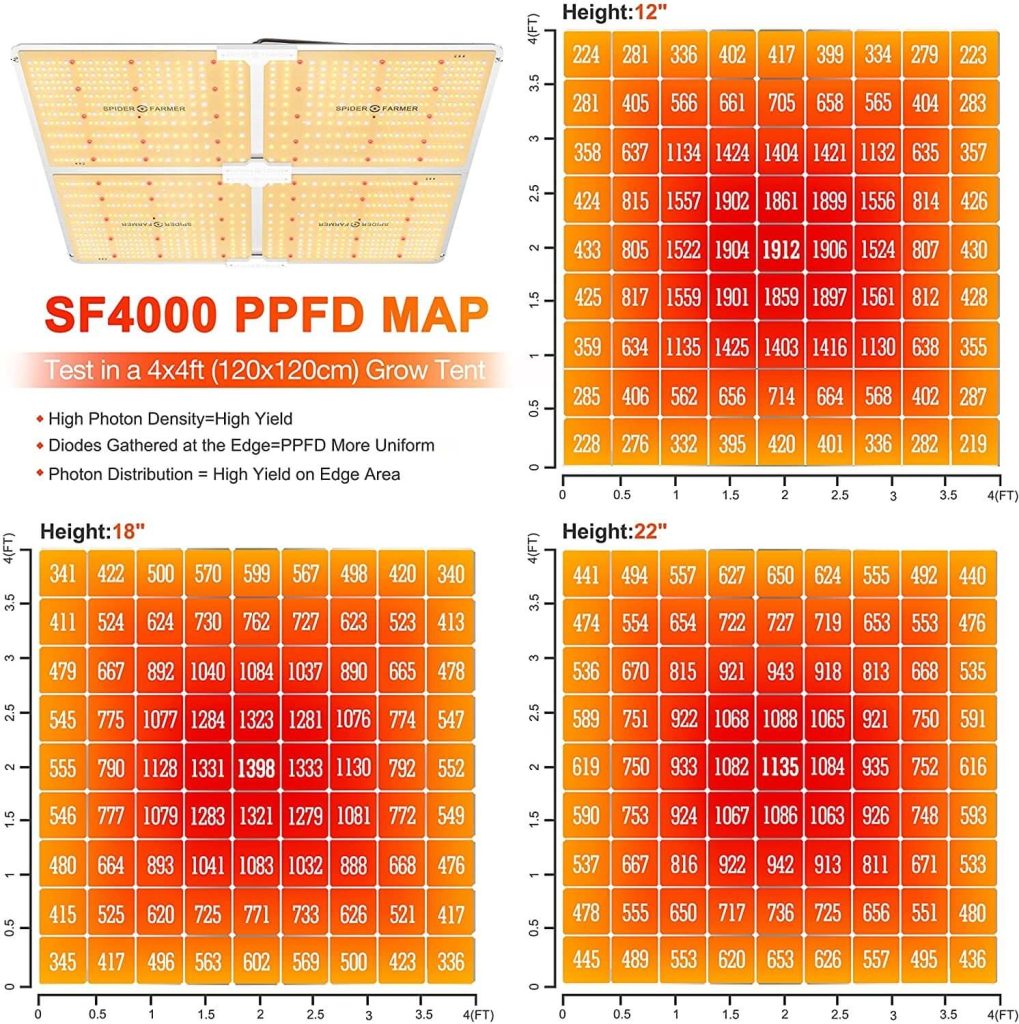 PPFD map of SF4000 led