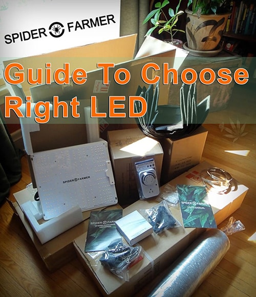 Blog-Guide-to-Choose-right-Spider-Farmer-LED