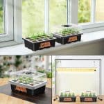 Seed Starter Tray-Using