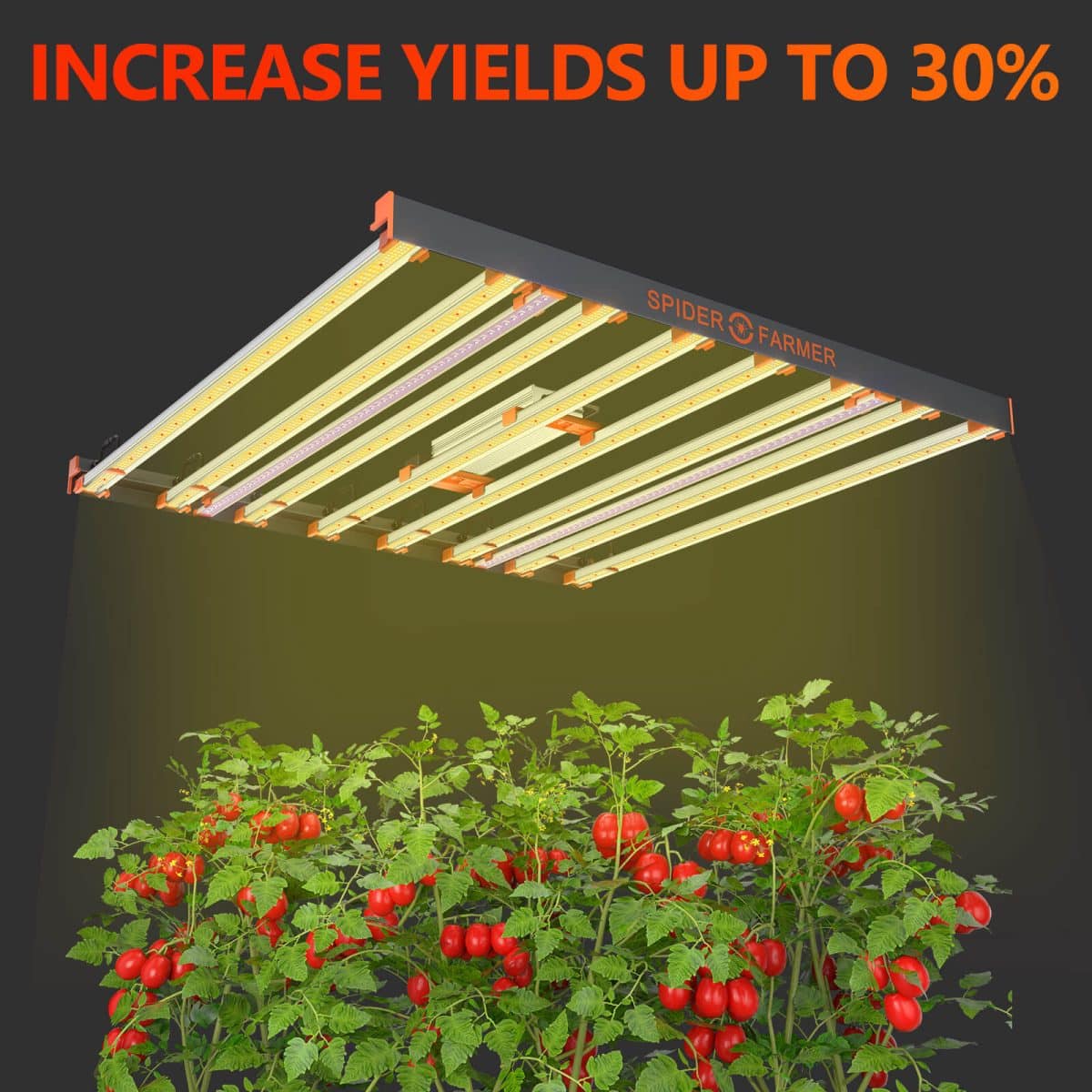 Grow share of UV 30W