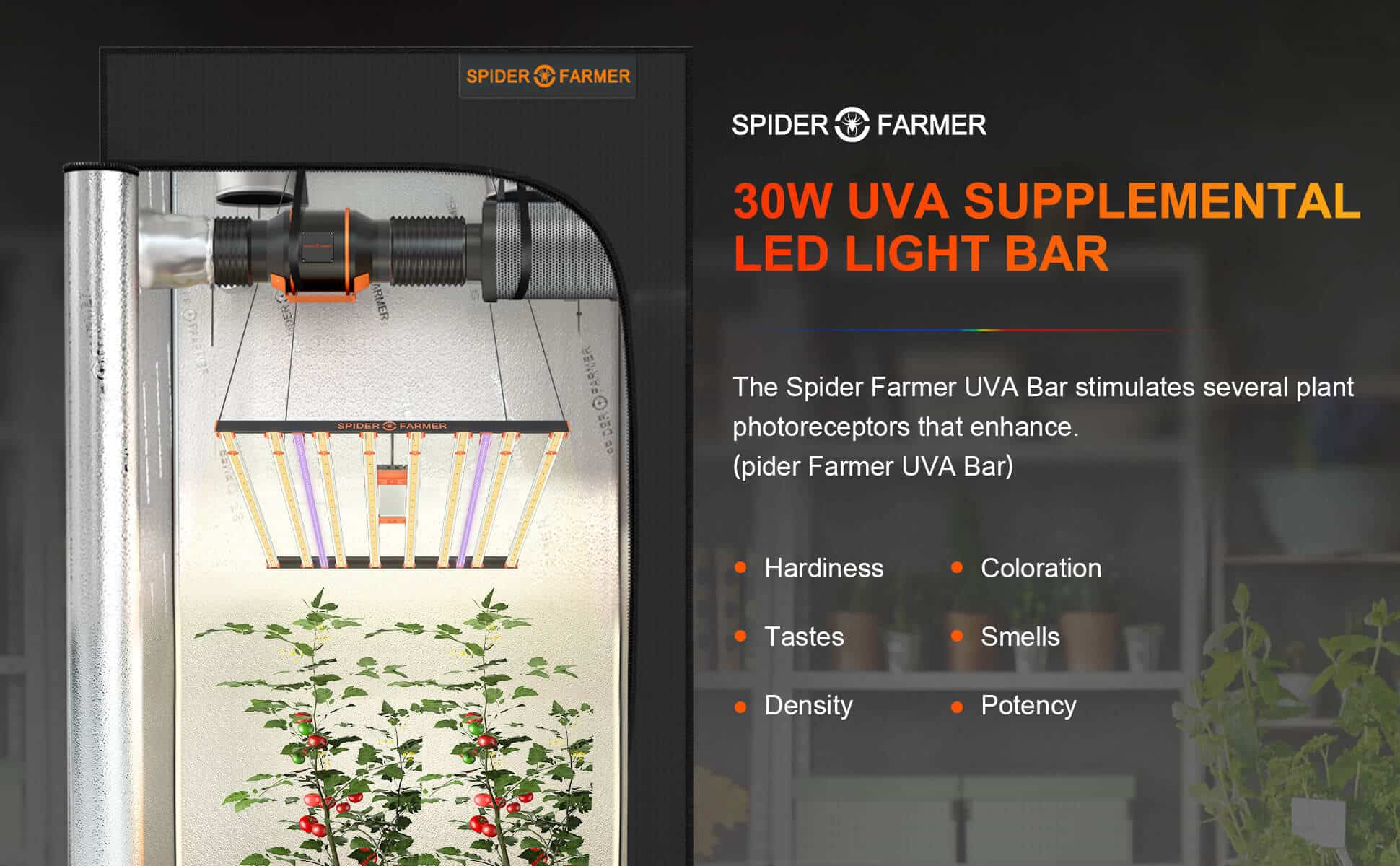Using grow share of UV 30W LED