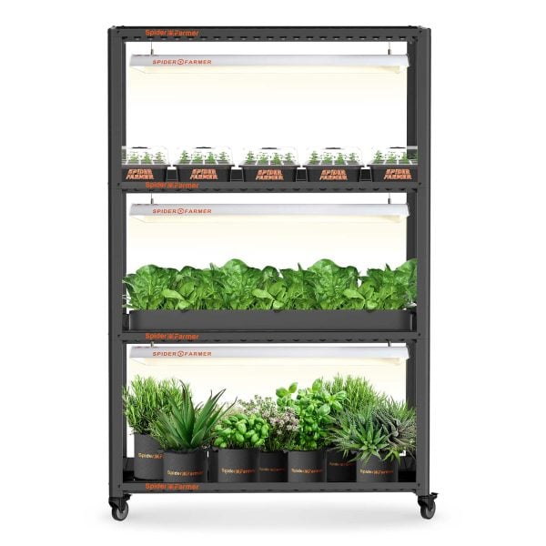 Spider-Farmer-SF600-growshelves-Indoor-led-grow-light-and-Metal-Plant-Stand-with-Plant-Trays-0