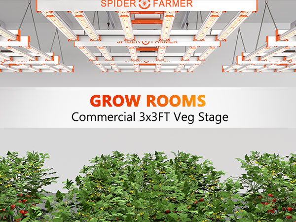 Spider Famrer G5000 cost-effective full spectrum led grow light-m-11
