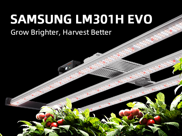 SE4500 EVO 320W LED Grow Light-A+1