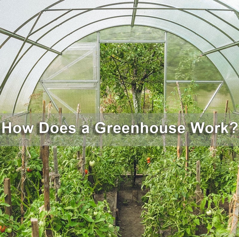 How-Does-a-Greenhouse-Work