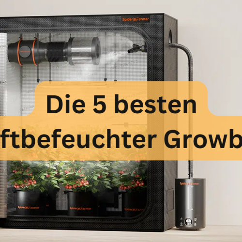 Die 5 besten Luftbefeuchter Growbox