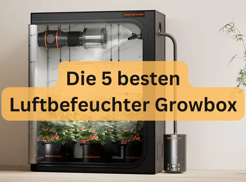 Die 5 besten Luftbefeuchter Growbox