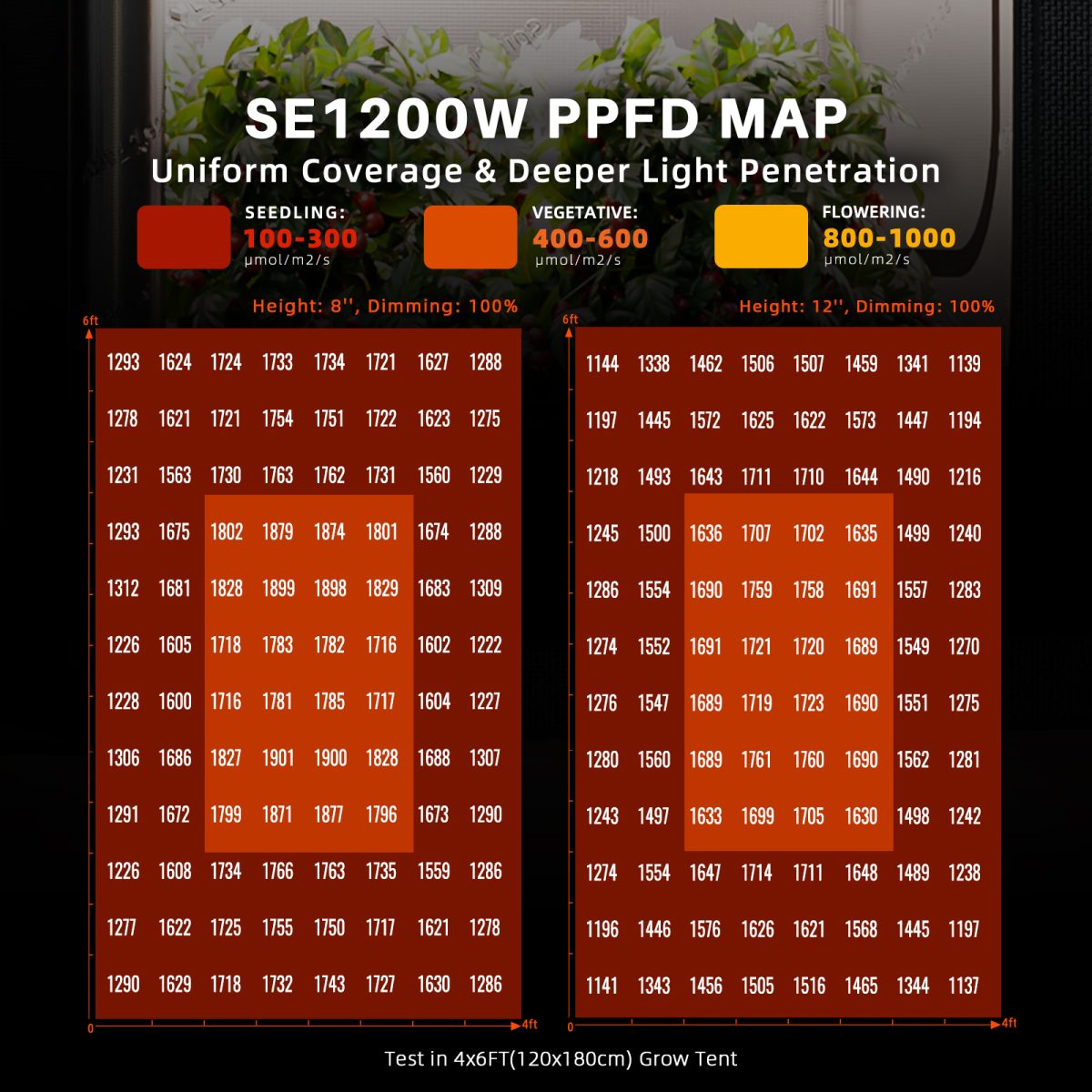 SE1200W EVO-PPFD MAP