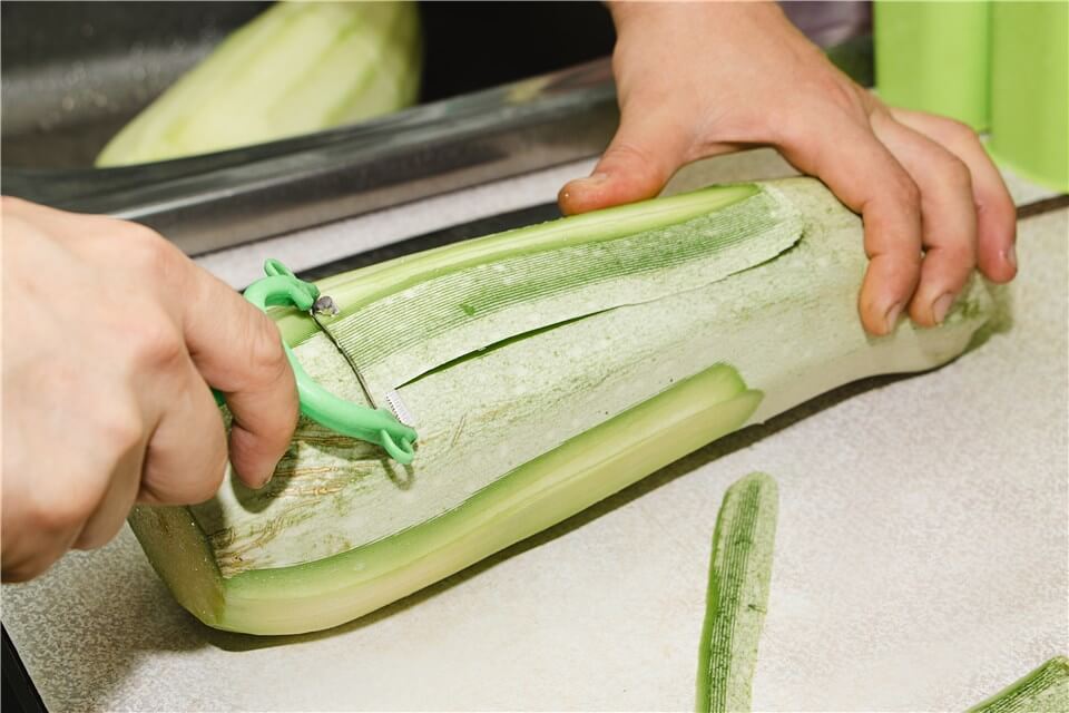 Grow Zucchini from Scraps