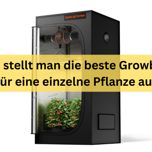 growbox klein