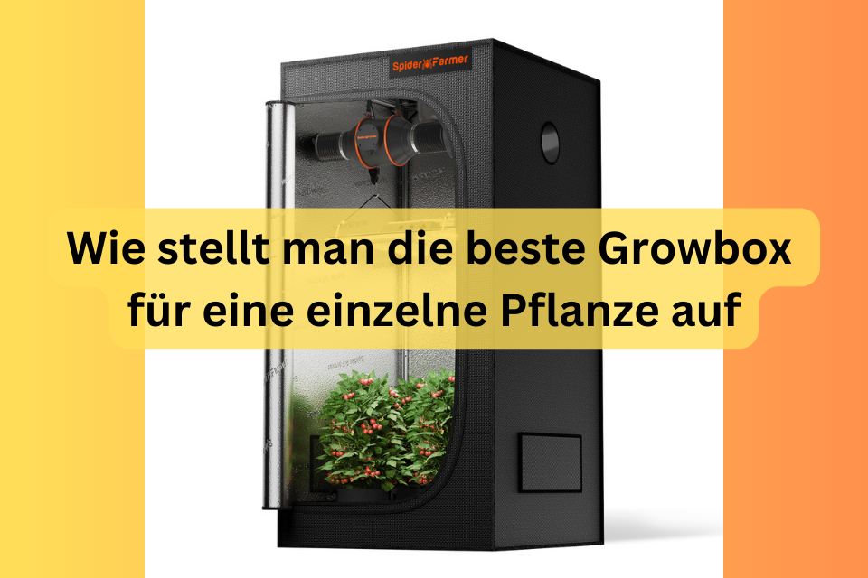 growbox klein