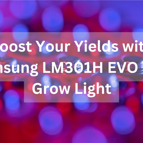 Boost Your Yields with Samsung LM301H EVO LED Grow Light