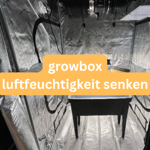 growbox luftfeuchtigkeit senken