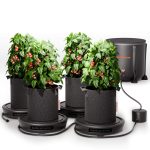 Self-watering System Kits 4pcs