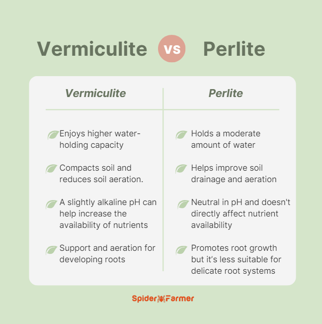 Perlite Vs Vermiculite - Differences between Perlite and Vermiculite