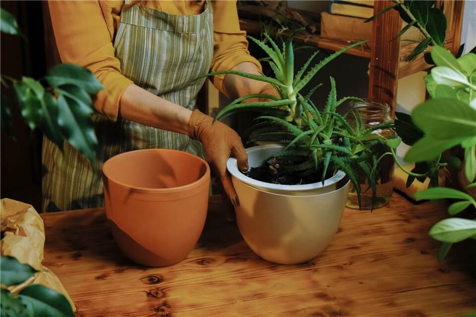 Make a Self Watering Pot