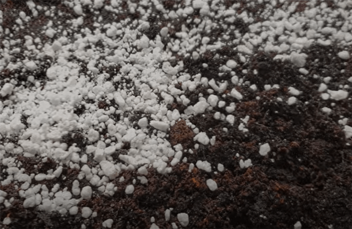 How to Use Perlite?