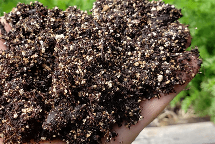 How to Use Vermiculite?