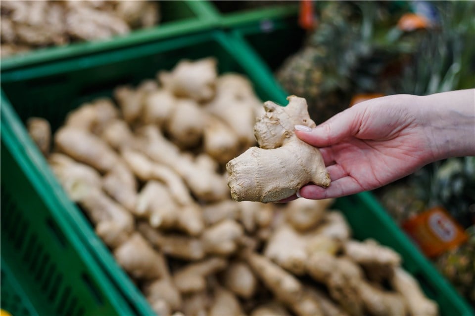 Select and Grow Ginger from Supermarket UK