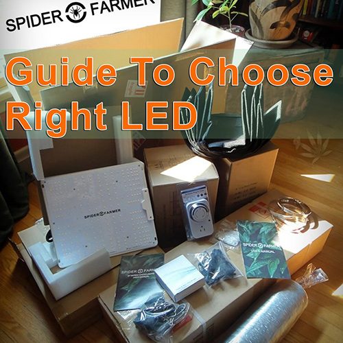 Blog-Guide-to-Choose-right-Spider-Farmer-LED