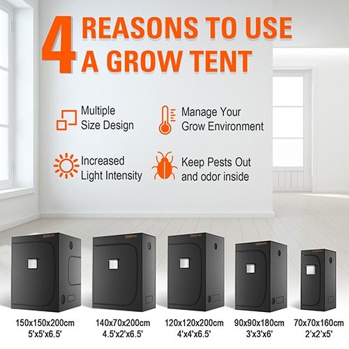 Blog-Reason-to-use-Grow-Tent