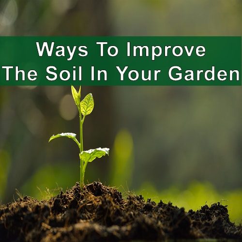 EU-Blog-How-to-improve-the-soil-in-your-garden