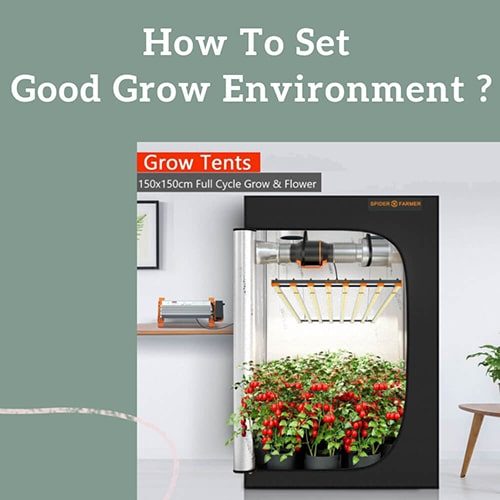 GROW-Environment-Blog