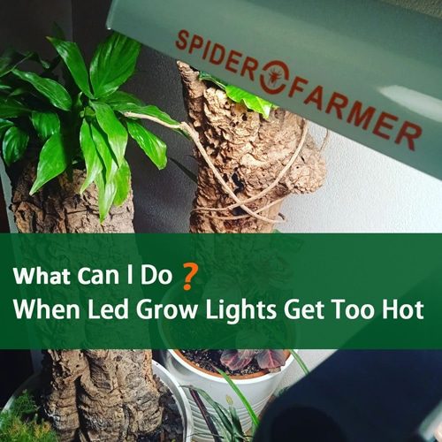 SF600-LED-Grow-Share